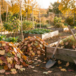 Comment planifier les travaux du jardin en automne avant l’hiver ? Jardin familial en automne avec un potager, des feuilles rassemblées, des outils en bois et une douce lumière de fin de journée.
